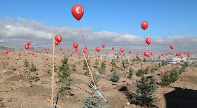 Sivas'ta Ormanlık Alanlar Artış Gösteriyor